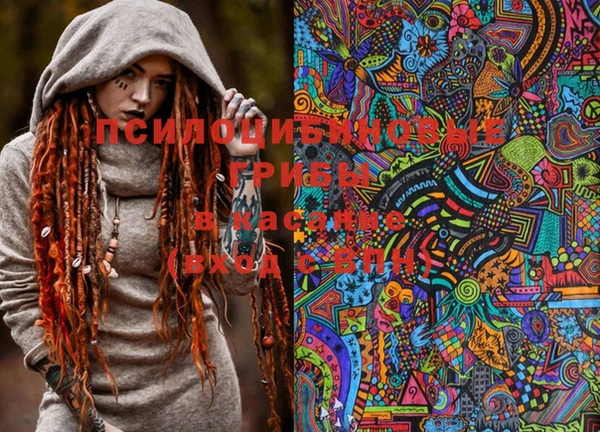 соль ск Переславль-Залесский