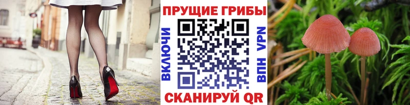 Псилоцибиновые грибы Magic Shrooms  Купить где  Иноземцево 